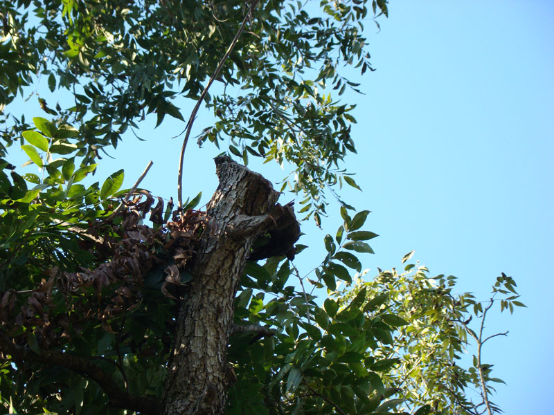 DSC06863