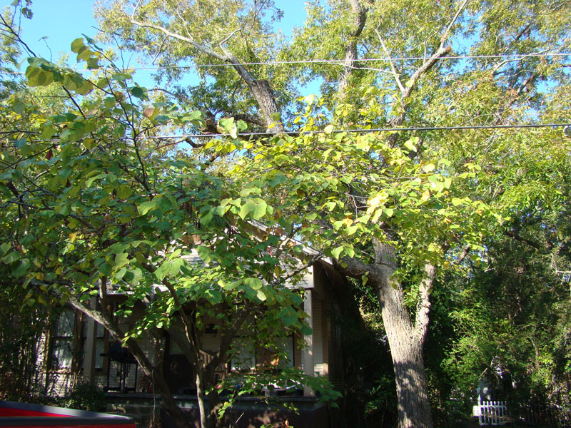 DSC06885