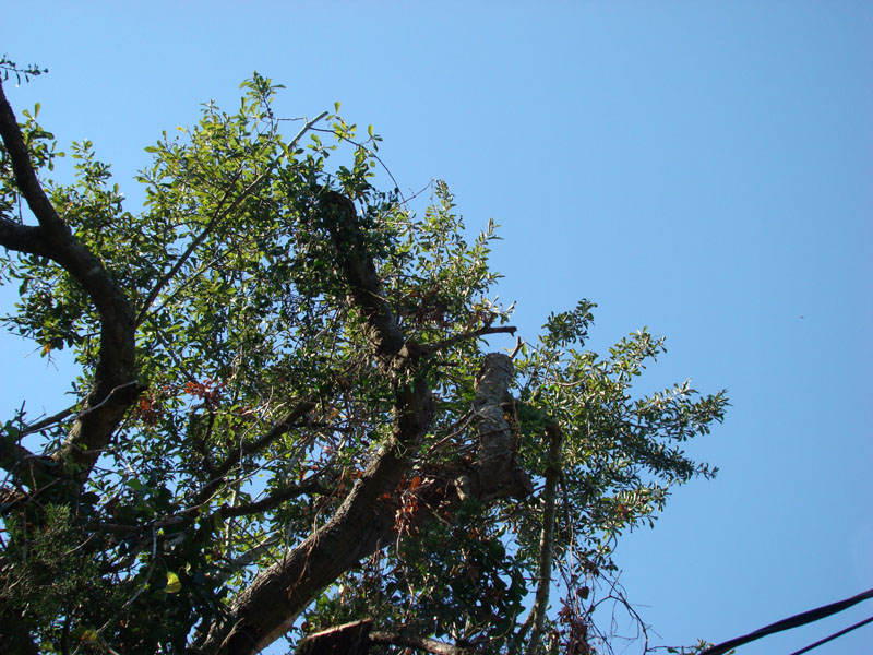 DSC06899