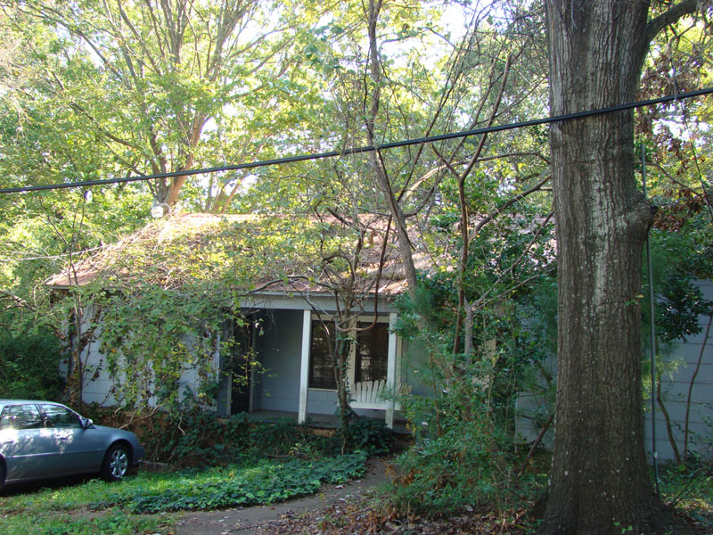 DSC06914