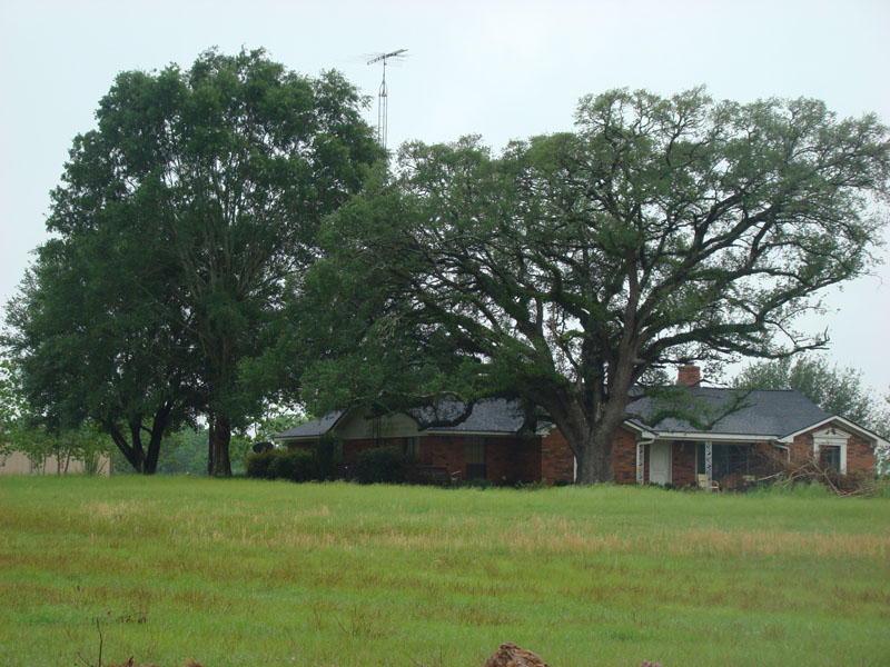 DSC08900