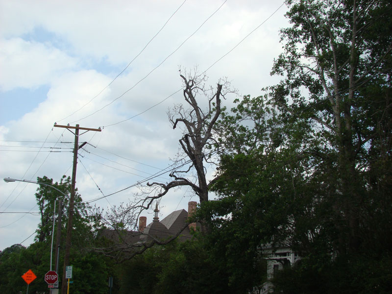 DSC08927