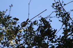 IMG_1107
