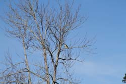 IMG_1430