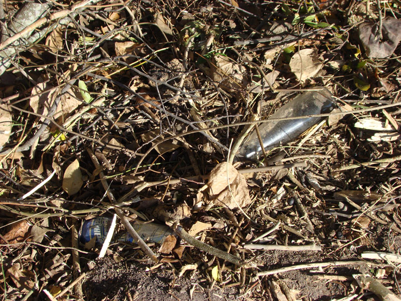 DSC07879