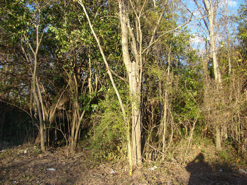DSC07883