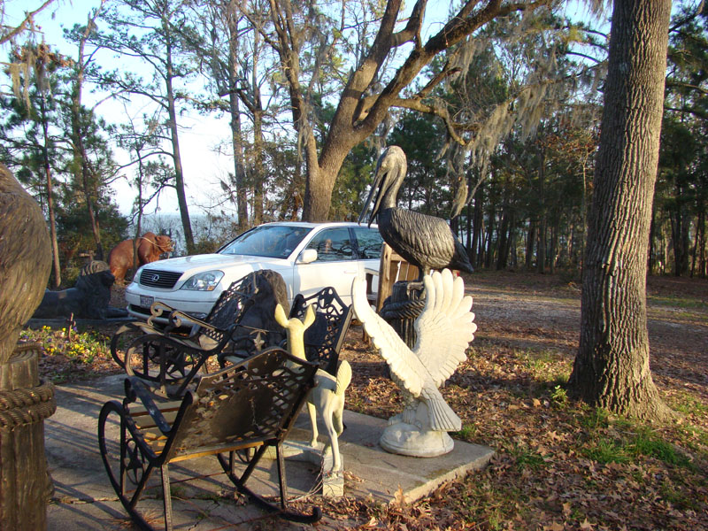 DSC08008