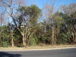 DSC07857
