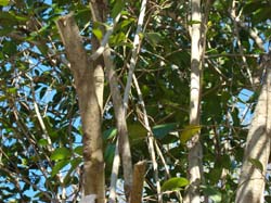 DSC07880
