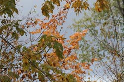 IMG_0824