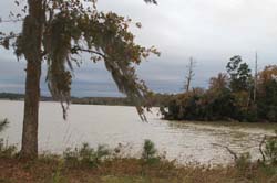 IMG_0857