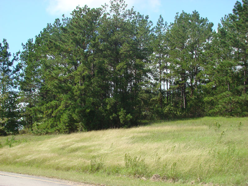DSC00971