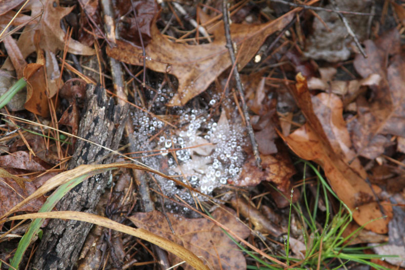 IMG_3647
