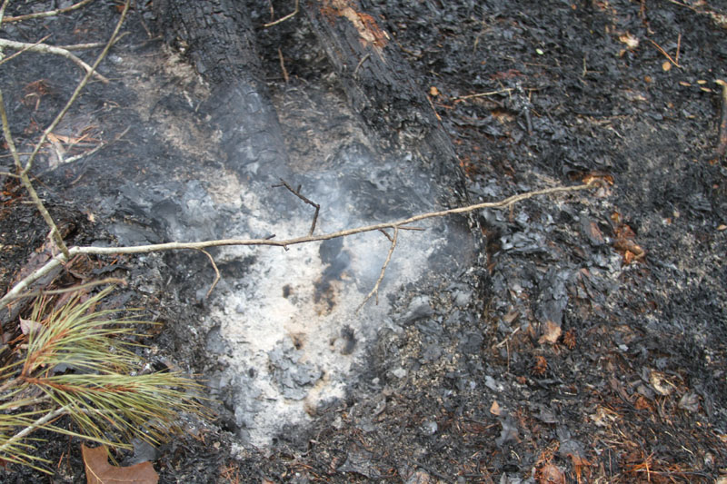 IMG_3727