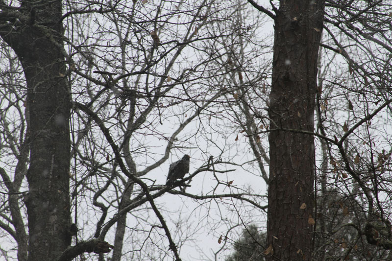 IMG_3872