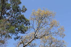 IMG_0216
