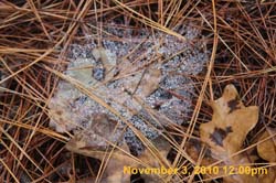 IMG_1567