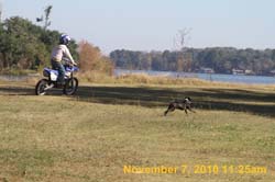 IMG_1651