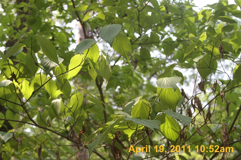 IMG_3325