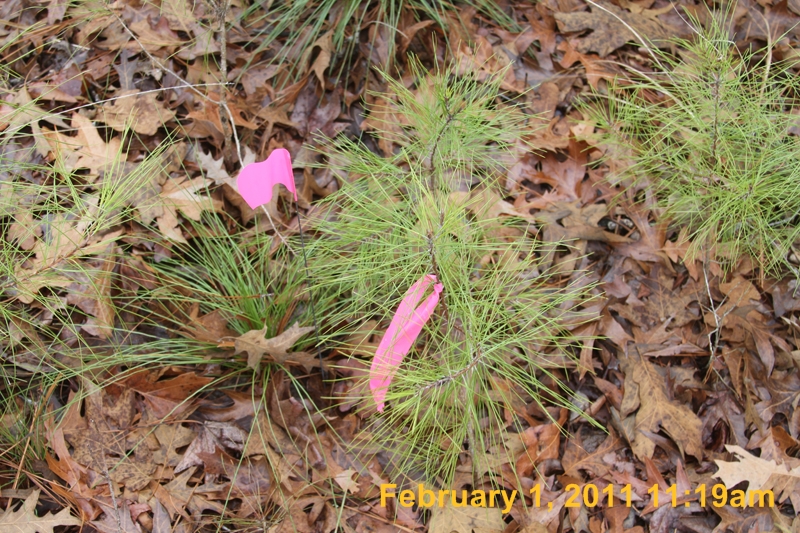 IMG_4392
