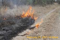 IMG_9166