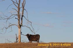 IMG_3805