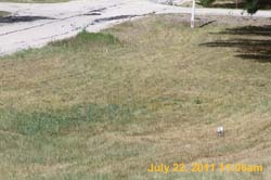 IMG_3315