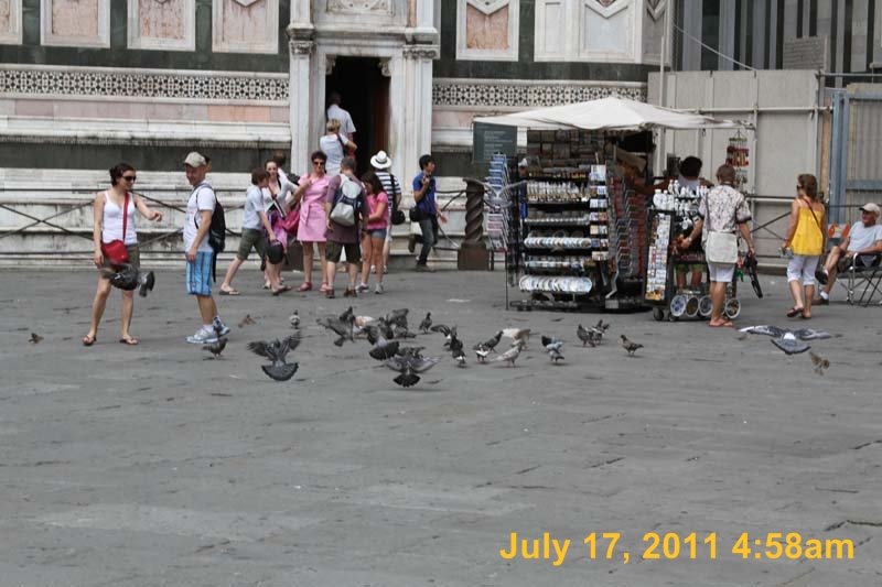IMG_5420