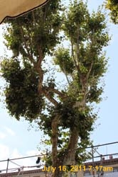 IMG_5280