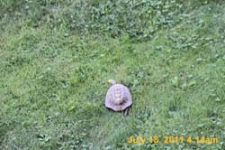 IMG_5654
