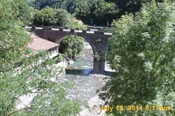 IMG_5731