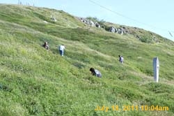 IMG_5781