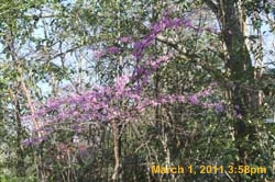 IMG_9861