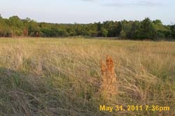 IMG_3944