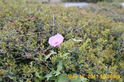 IMG_0076