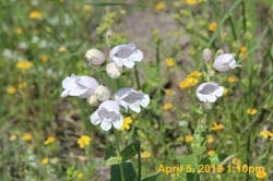 IMG_0389