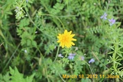IMG_1713