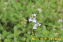 IMG_1715
