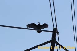 IMG_1418