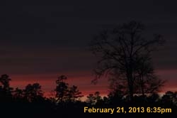 IMG_1979