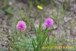 IMG_2160
