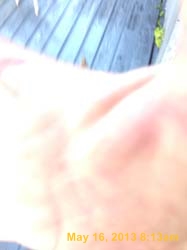 IMG_4595