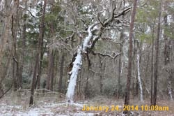 IMG_8497