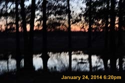 IMG_8554