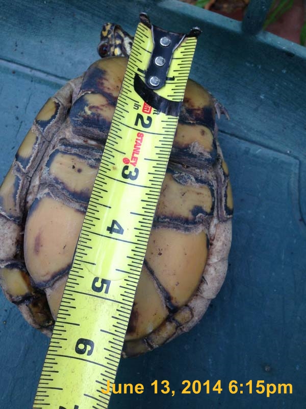 IMG_5652