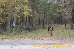 IMG_0190