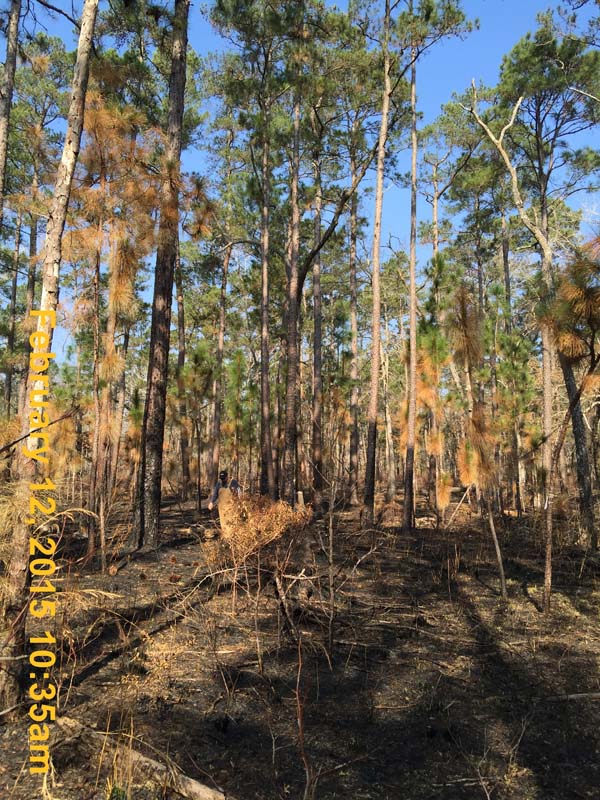 IMG_0121