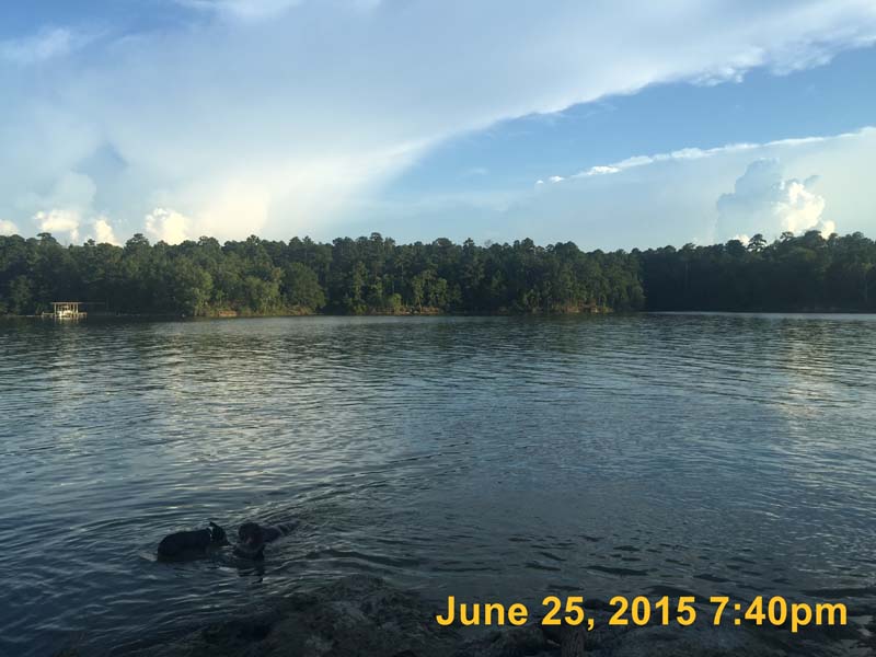 IMG_2690