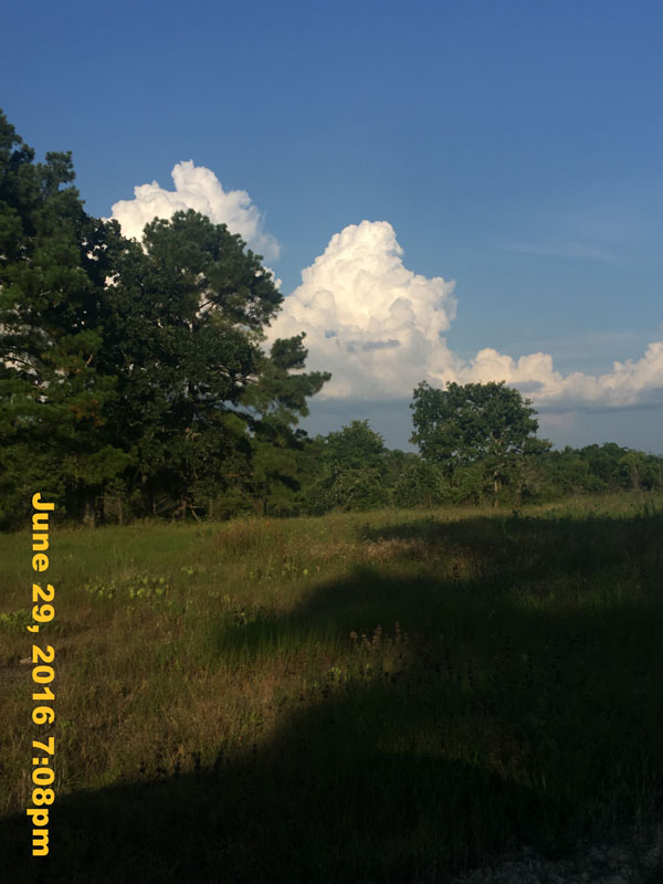 IMG_7648