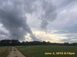 IMG_6202